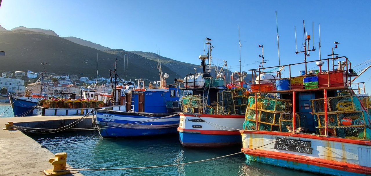 Visiting Kalk Bay, South Africa